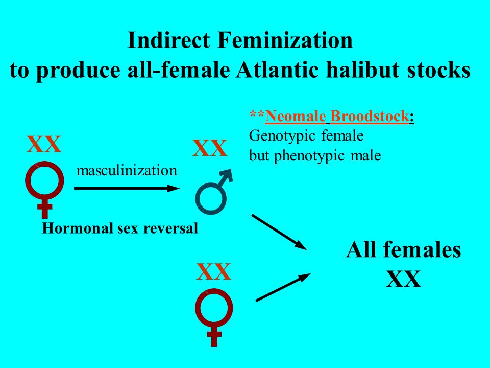 reversal ppt Sex in fishes